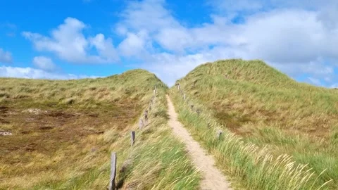 Scenic pathway through grassy dunes under a bright blue sky with fluffy clouds Stock Footage 341113620