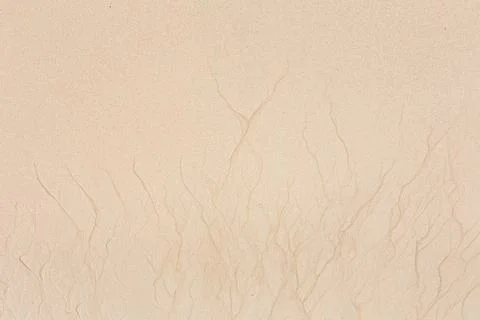 Scenic pattern at the beach created by low tide Stock Photos