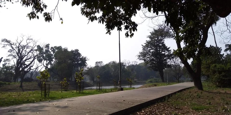 Scenic Paved Walking Path Through Green Public Park With Lake Fotos de archivo