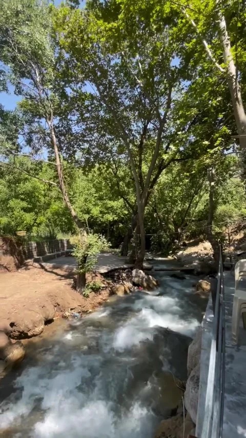 Scenic Picnic Table with Fresh Fruit and River Stream Stock-Footage 340871846
