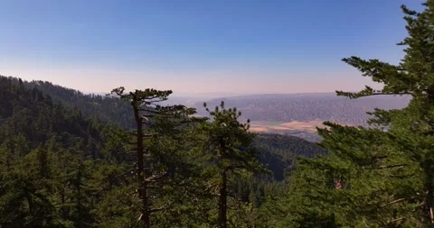 Scenic Pine Tree Forests Cuyama Valley California Aerial Video Stock Footage 280784589