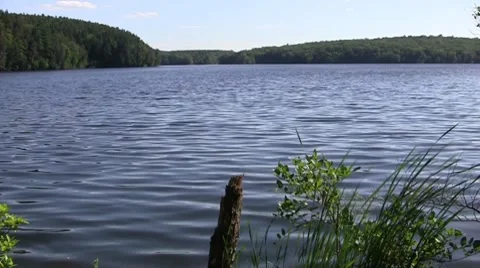 Scenic Pond 02 Stock Footage 7751859