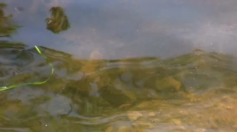 Scenic Pond 03 Stock Footage 7751765