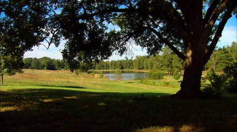 Scenic Pond Stock Footage 36135198