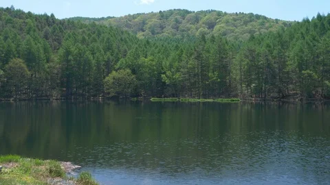 Scenic Pond in Spring (time lapse) Stock Footage 111274297