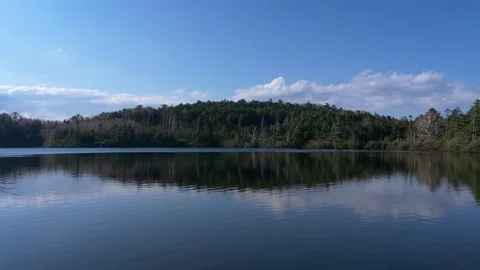Scenic Pond Surrounded by Virgin Forests (real time/loop) Stockbeeldmateriaal 111550397