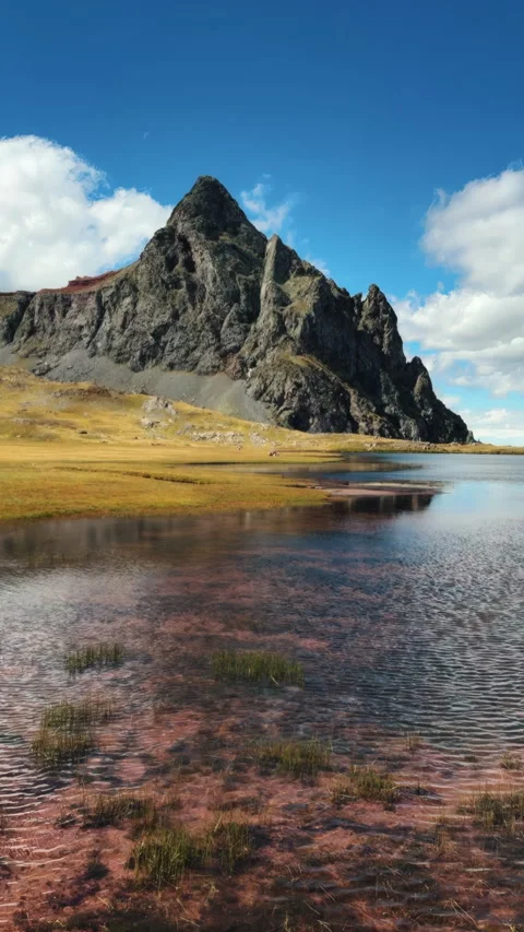Scenic Pyrenees mountain landscape with cattle background Stock Footage 345169167