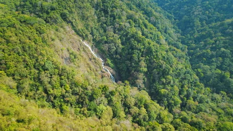 Scenic rainforest valley with hidden cascading Bijagual waterfall in Costa Rica Video stock 341447799