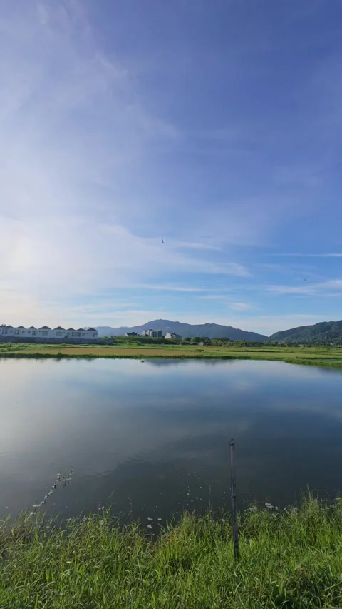 Scenic Reflection of Sky and Clouds on Pond Stock Footage 309591146