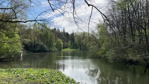 Scenic Reflection of Spring Trees on Calm Water in Netherlands Video stock 334150347