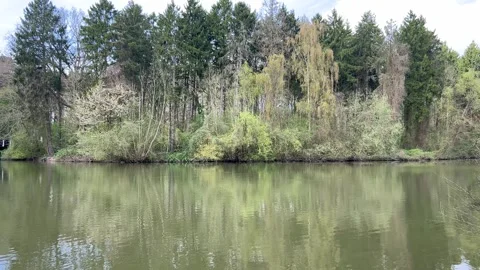 Scenic Reflection of Trees on Water in Amsterdamse Bos During Spring Season Stock Footage 334149888