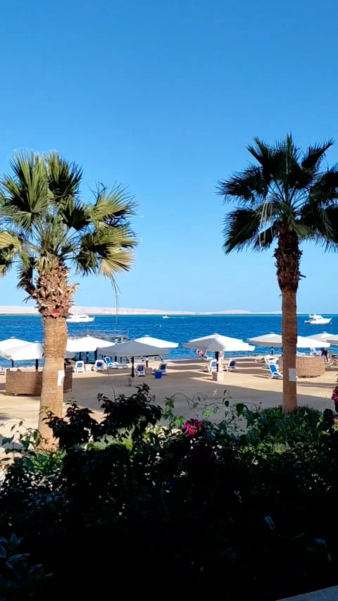 A scenic resort beach Stock Footage 336189060