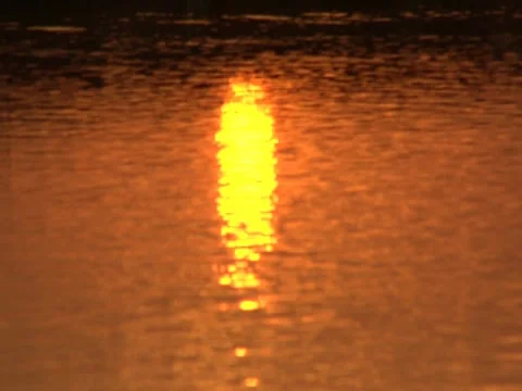 Scenic River 10 Stock Footage 8692825