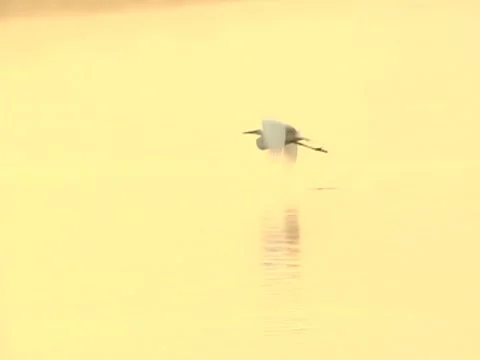 Scenic River 11 Stock Footage 8692801