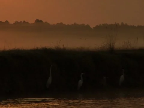 Scenic River 12 Stock Footage 8697772