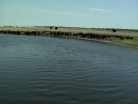 Scenic River 22 Stock Footage 8691971