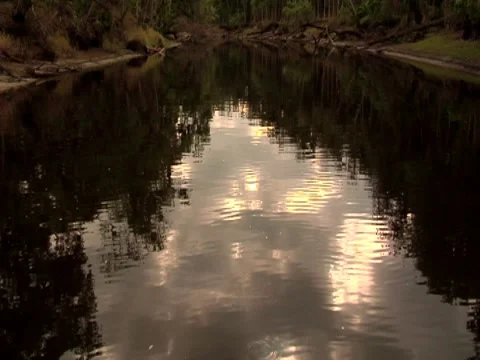 Scenic River 24 Stock Footage 8695352