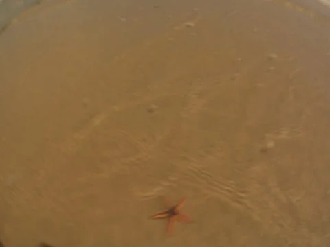 Scenic River 25 Stock Footage 8698200