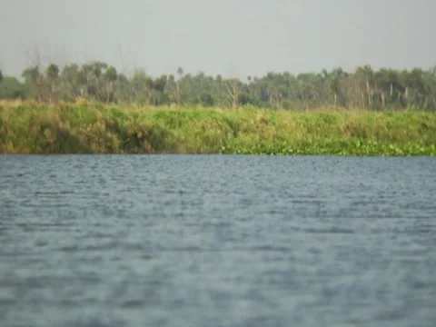 Scenic River 34 Stock Footage 8694487