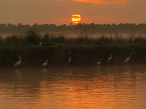 Scenic River 5 Stock Footage 8693374