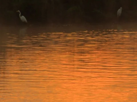 Scenic River 6 Stock Footage 8697841