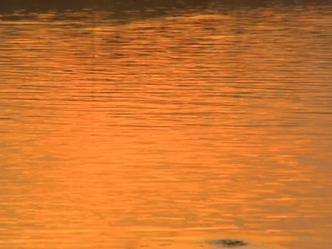 Scenic River 7 Stock Footage 8696714