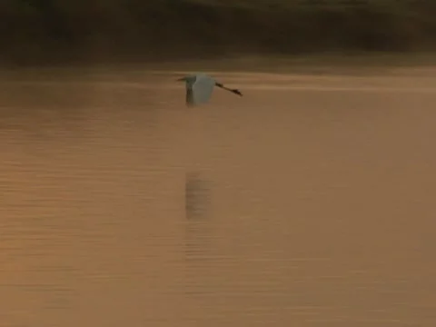 Scenic River 8 Stock Footage 8696686