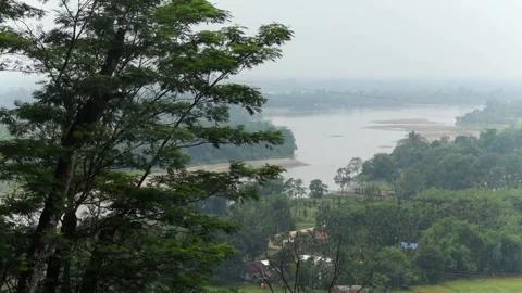 Scenic river and forest landscape viewed through lush tree canopy Stock Footage 337926842