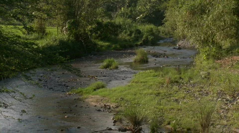 Scenic River in between fields in the dusk Stock Footage 555598