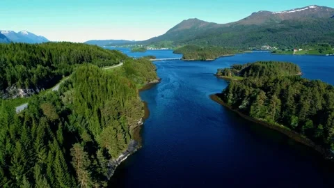 Scenic river drone, lush forest landscape, winding waterway view Stock Footage 310328935