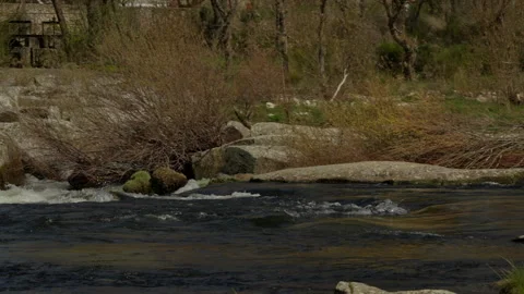 Scenic river flowing over granite rocks and rapids Stock Footage 335462729