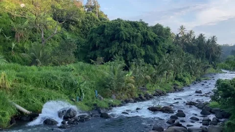 Scenic River Flowing Through Lush Green Tropical Forest in Bali Stock Footage 335507130