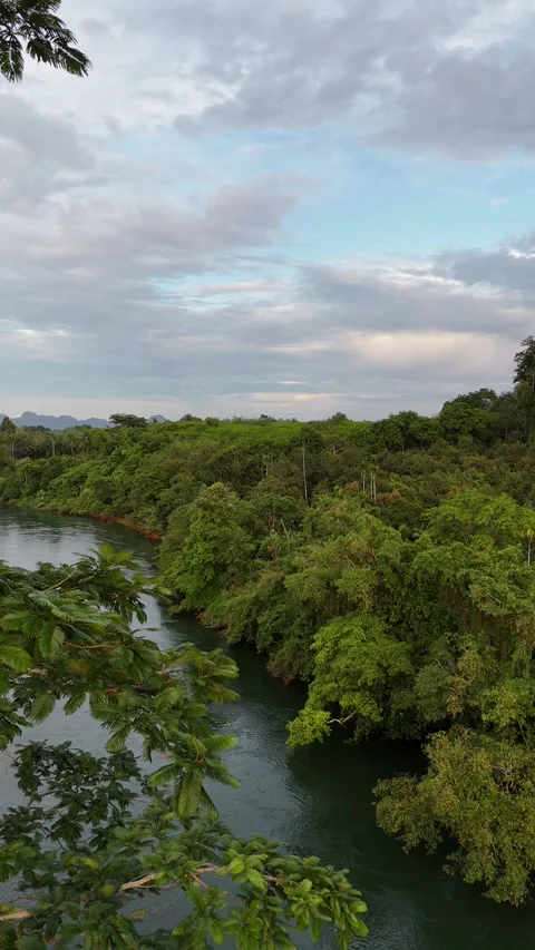 Scenic River Flowing Through Lush Tropical Rainforest in Khao Sok, Thailand Vídeos de archivo 335963530