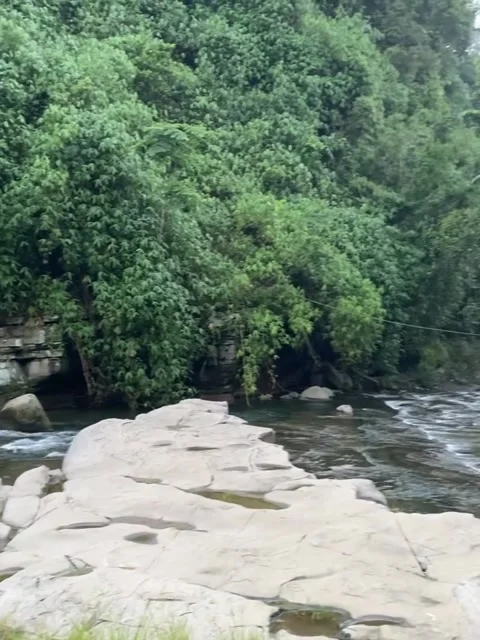 Scenic River Flowing Through Lush Green Jungle Valley 库存影片 342265102