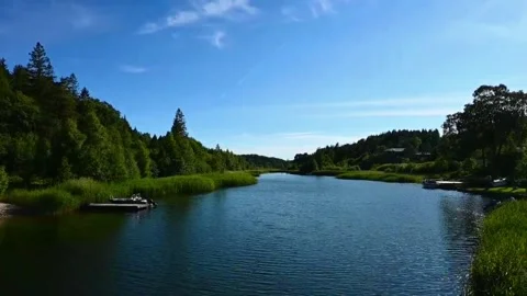Scenic river flows through forest in Norway during bright midday Stock Footage 340204663