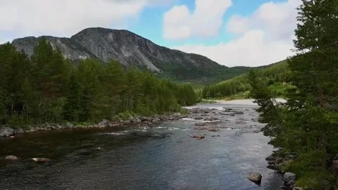 Scenic river flows through a forested area with mountains in the background.. Stock Footage 340203227
