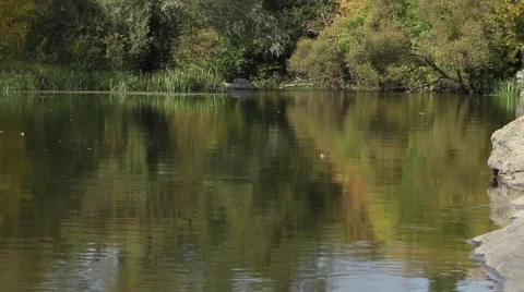 Scenic river Stock Footage 42178060