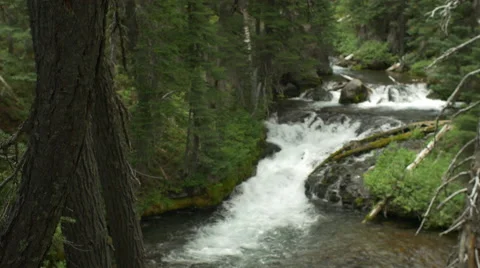 Scenic river Stock Footage 58800571