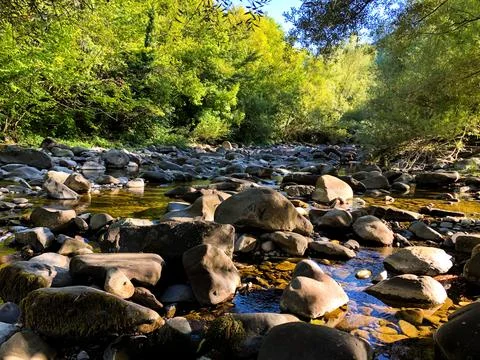 Scenic river landscape featuring smooth stones and lush greenery, with sunl.. Фото