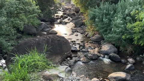 Scenic River Path Surrounded by Large Rocks Stock Footage 305144303