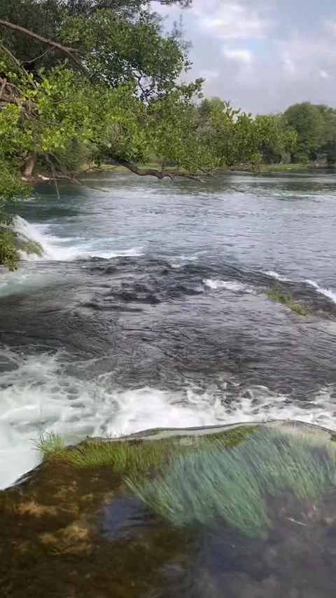Scenic River Rapids Flowing Through Lush Green Trees Stock Footage 341133595