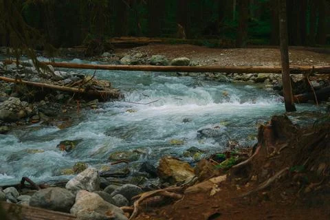 A scenic river stream flows through a lush forest, a beautiful natural landscape Stock Photos