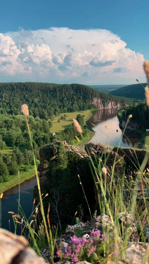 Scenic river valley view from a high cliff on a sunny summer day Vídeo Stock 326165883