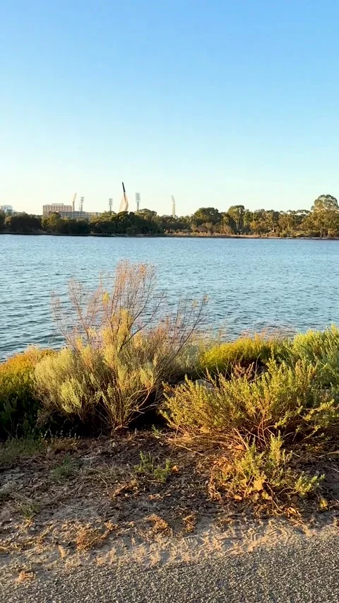 Scenic river view with green bushes and cablestayed bridge under clear blue s Video stock 335654099