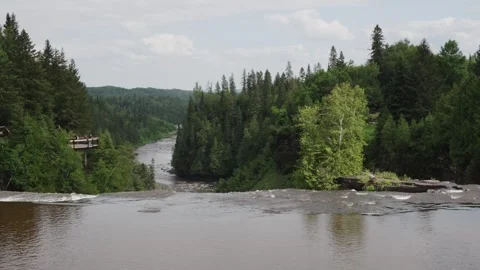 Scenic River View with Lush Forest and Streaming Waterfall Stock Footage 264074827