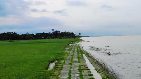 Scenic riverbank stone pathway along lush green grass and calm water at suns Stock Footage 339429574