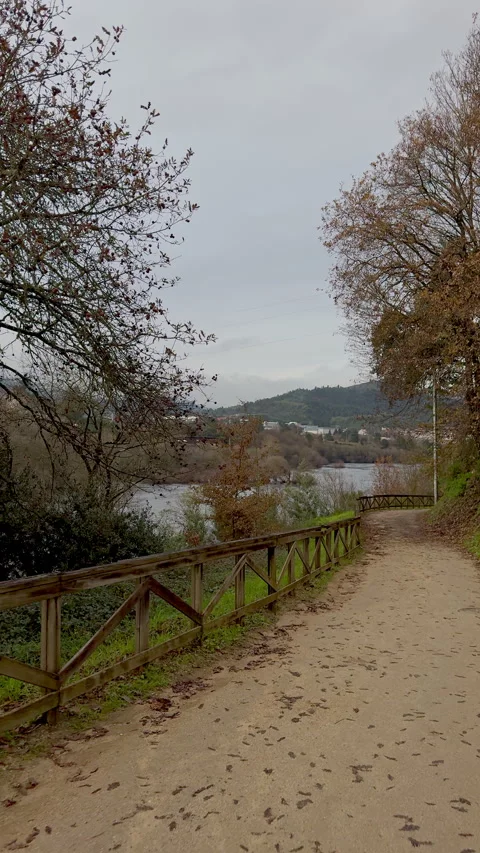 Scenic Riverside Trail with Leafless Trees in Winter Stock Footage 274849798