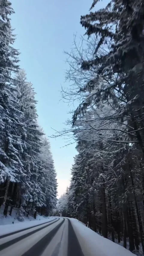 A Scenic Road Covered with Snow Surrounded by a Winter Wonderland Forest Stock Footage 302285186
