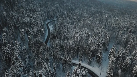 Scenic road cutting through winter forest Stock Footage 108434011