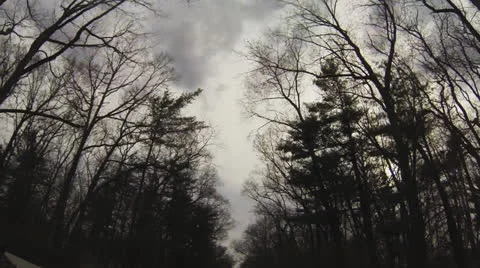 Scenic Road with Motorcycle (Tree Line) Part 2 Video stock 23089809